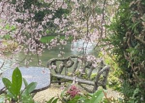 Jardin fleuri avec banc et rivière paisible.